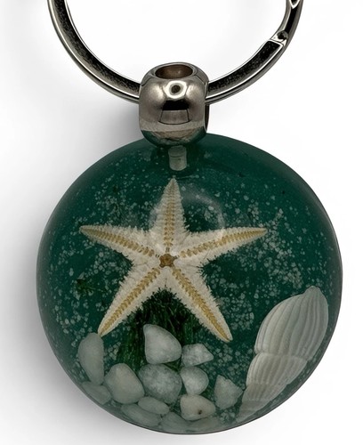 Handmade real starfish green - handmade,
