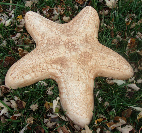 Large starfish plastic - large,