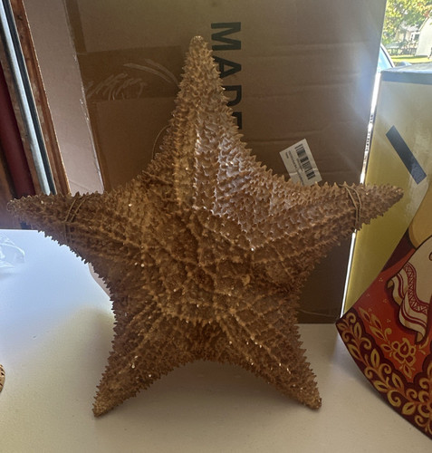 Large natural tan spiny - large,