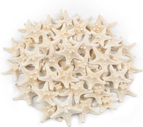 Pcs starfish mixed - pcs,