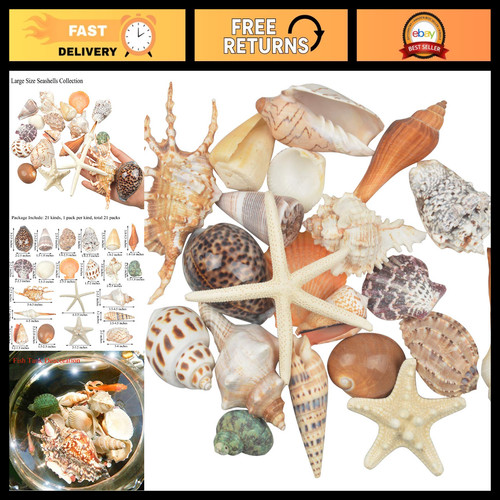 Pcs large mixed sea - 21,