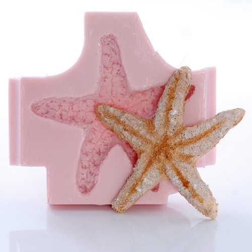 Large starfish seashell - starfish,