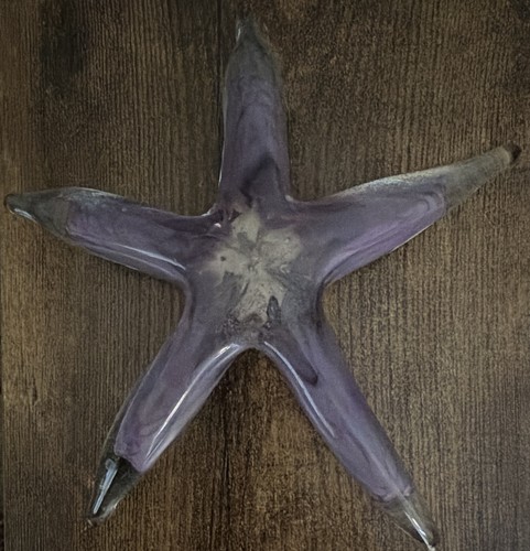 Large purple hues starfish - large,