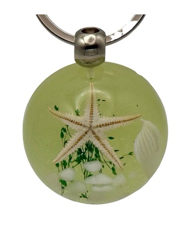 Handmade real starfish - handmade,