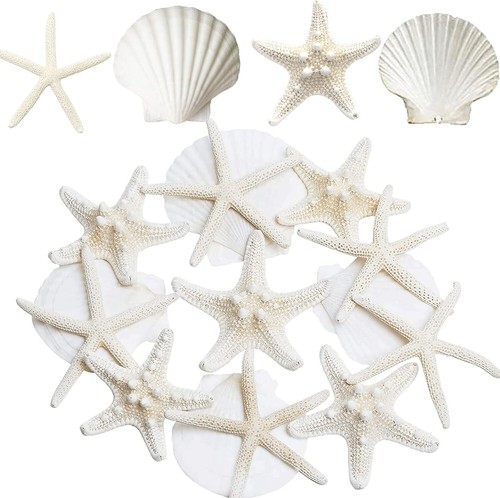 Inches large starfish and - large,
