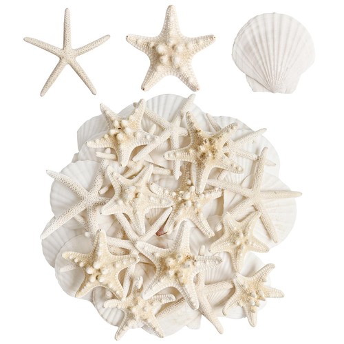 Pieces starfish and - pieces,