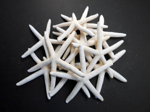 Large white pencil - white,