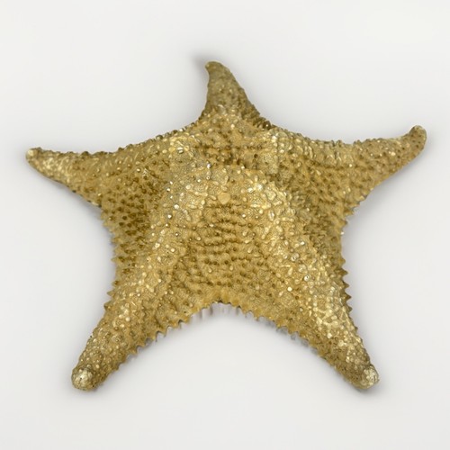 Large natural knobby - large, cushion