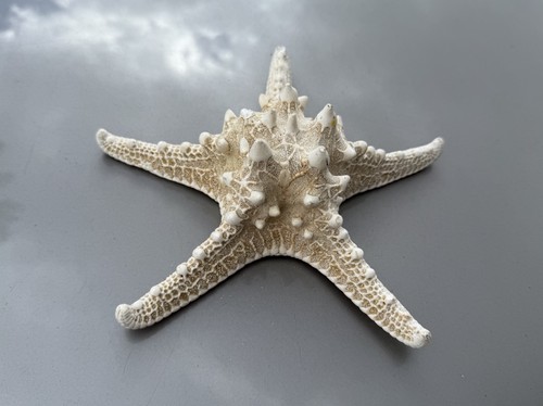 Vintage large ocean beach - vintage, star