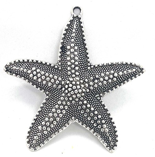Large sea star fish - large, starfish