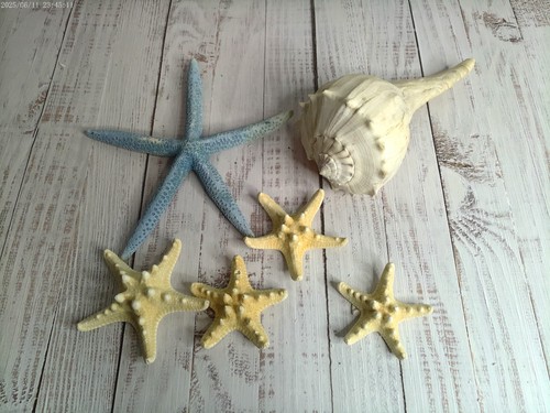 Starfish and large - starfish,