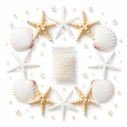 Large starfish scallop shells - large,