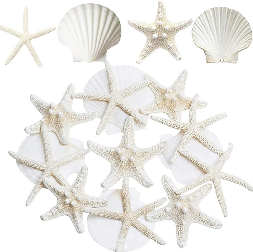 12pcs large starfish and - 12pcs,