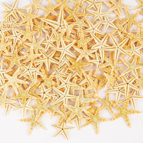 Qeqekaka 100 pcs starfish for - 100,