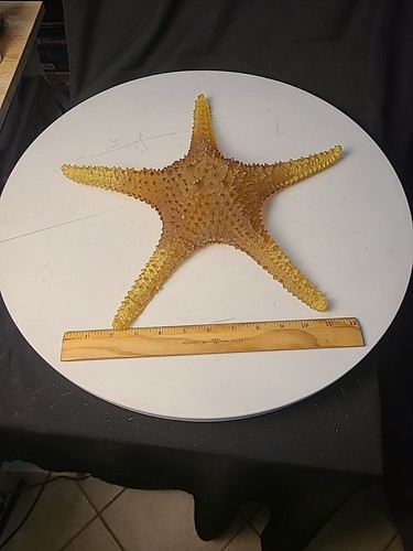 Wide resin starfish home - wide,