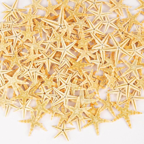 Qeqekaka 100 pcs - starfish, for